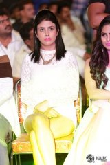 Vangaveeti Movie Audio Launch